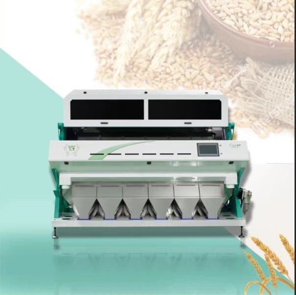 Máquina para clasificar el color de la higuera de pavo, avellana, arroz, CCD, café, cacahuetes, clasificador óptico de colores
