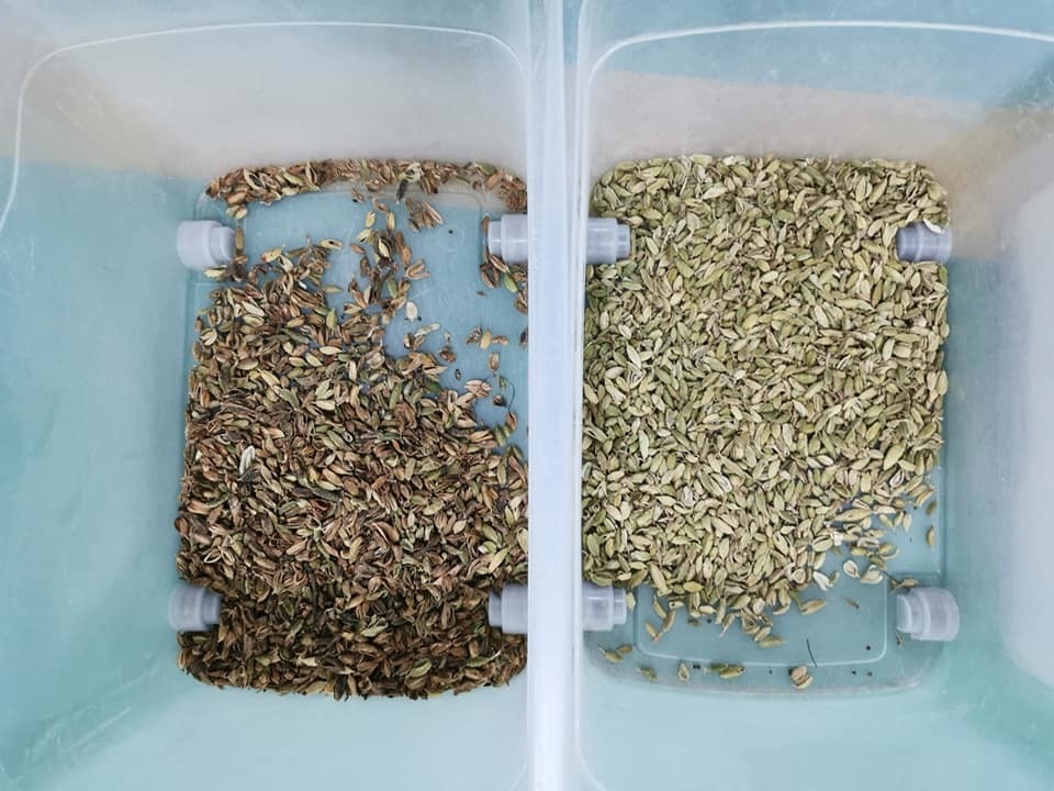 Wenyao 3 chute cámara CCD inteligente máquina de clasificación de colores de cardamomo
