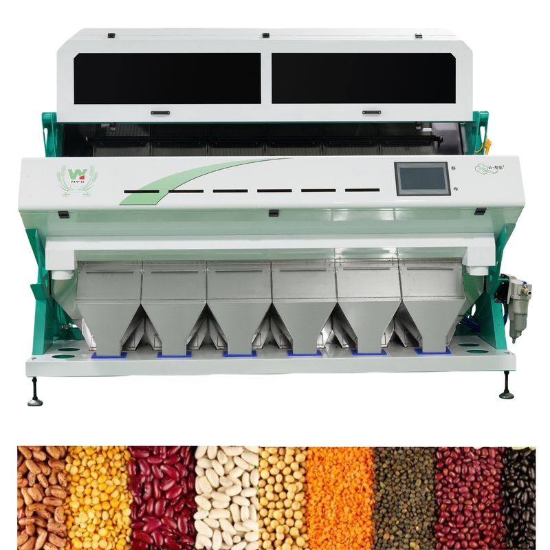 Máquina de clasificación de color de frijoles de riñón inteligente con cámara CCD 6 con operación fácil