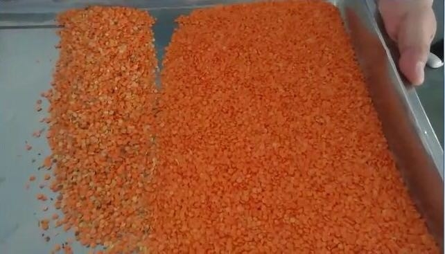 Maquinaria de procesamiento de cultivos agrícolas Wenyao Sortador óptico de colores para lentes Separación de colores