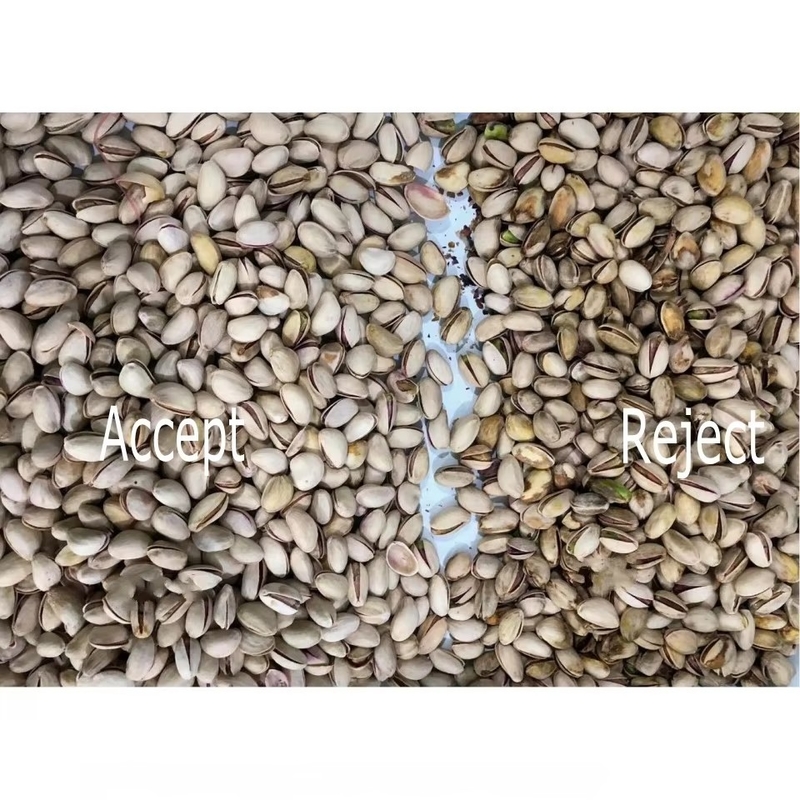 Aprendizaje de inteligencia artificial Tipo de cinturón inteligente Peanut Hazelnut Pistachio Nuts Color Sorting Machine