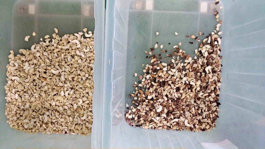 WENYAO CCD Camera Máquina de clasificación de colores de alta velocidad para la producción de cacahuetes