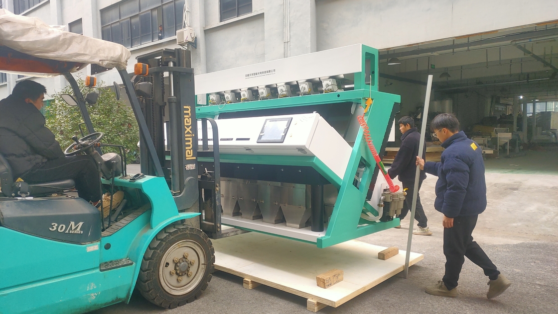 Máquina automática de clasificación de colores de semillas de colza