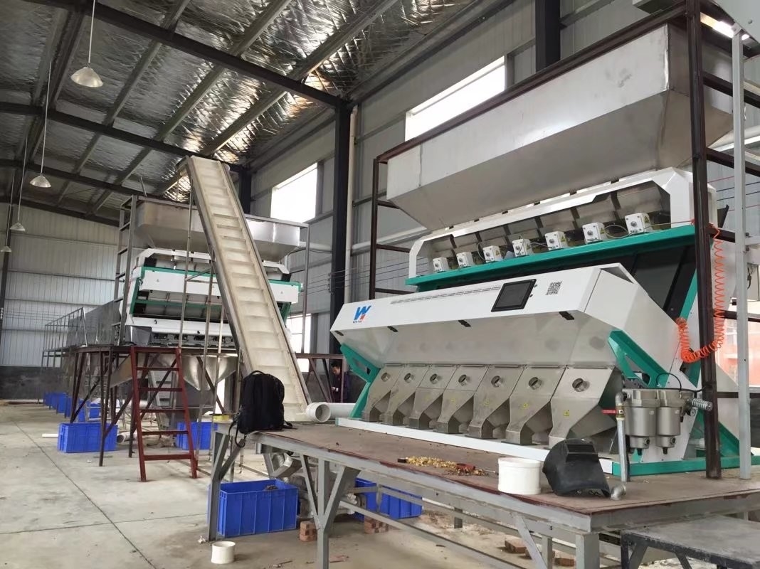 Máquina automática de clasificación de colores de semillas de colza