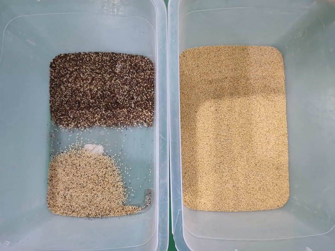 WENYAO Autolimpieza de alta velocidad para granos de arroz y granos Operaciones de clasificación Máquina de clasificación de color
