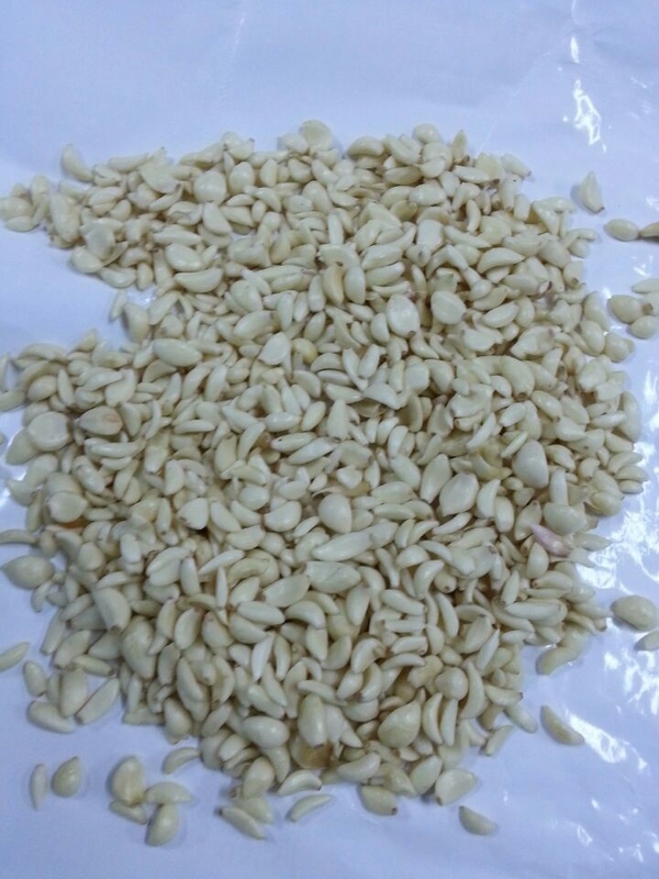 Máquina de clasificación de clavo de ajo clasificador de color de ajo para procesamiento de alimentos