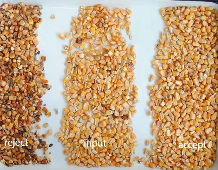 WENYAO Autolimpieza de alta velocidad para operaciones de clasificación de arroz de granos Máquina de clasificación de colores