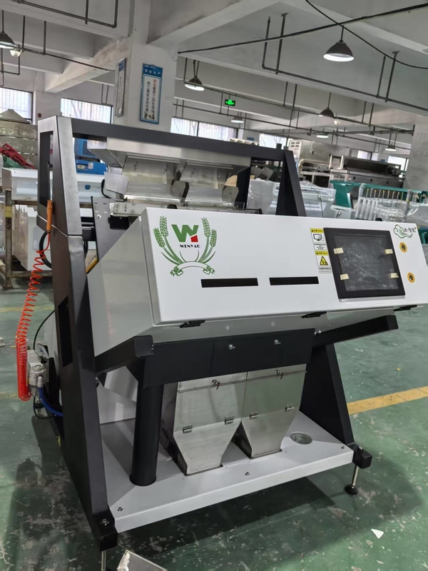 Wenyao CE Certificado Castaña Color Sortadora de la máquina de clasificación de colores de pistacho con buena calidad