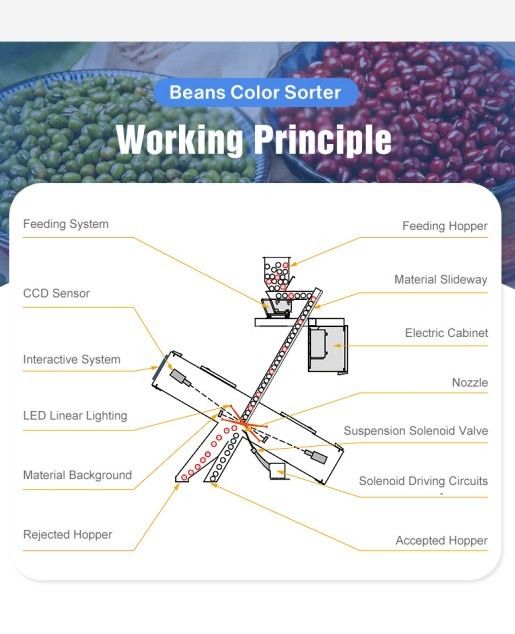 Procesamiento de cereales Arroz clasificador de color Tipo de paracaídas ópticas