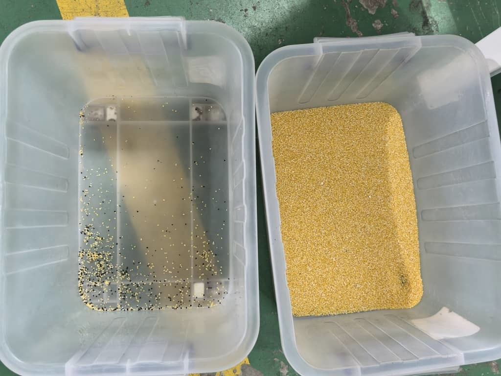 2 canales Máquina de clasificación de colores de goma de durazno de alta precisión