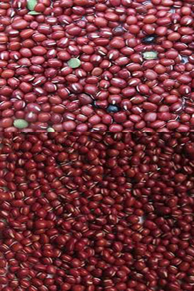 Máquina de clasificación óptica de color de frijoles rojos y riñones inteligente de alta precisión