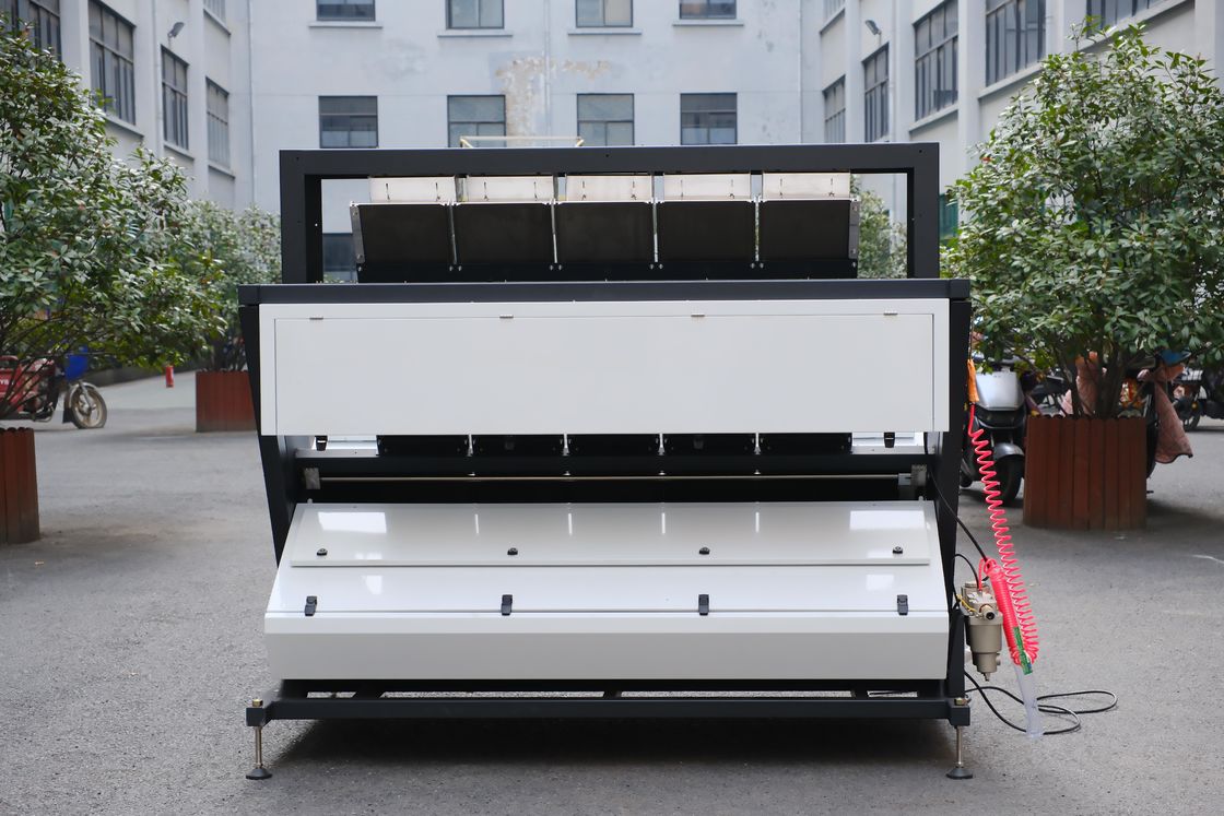 Wenyao 5 Chute China Fábrica de clasificador óptico Cardamomo Bean Color Máquina de clasificación