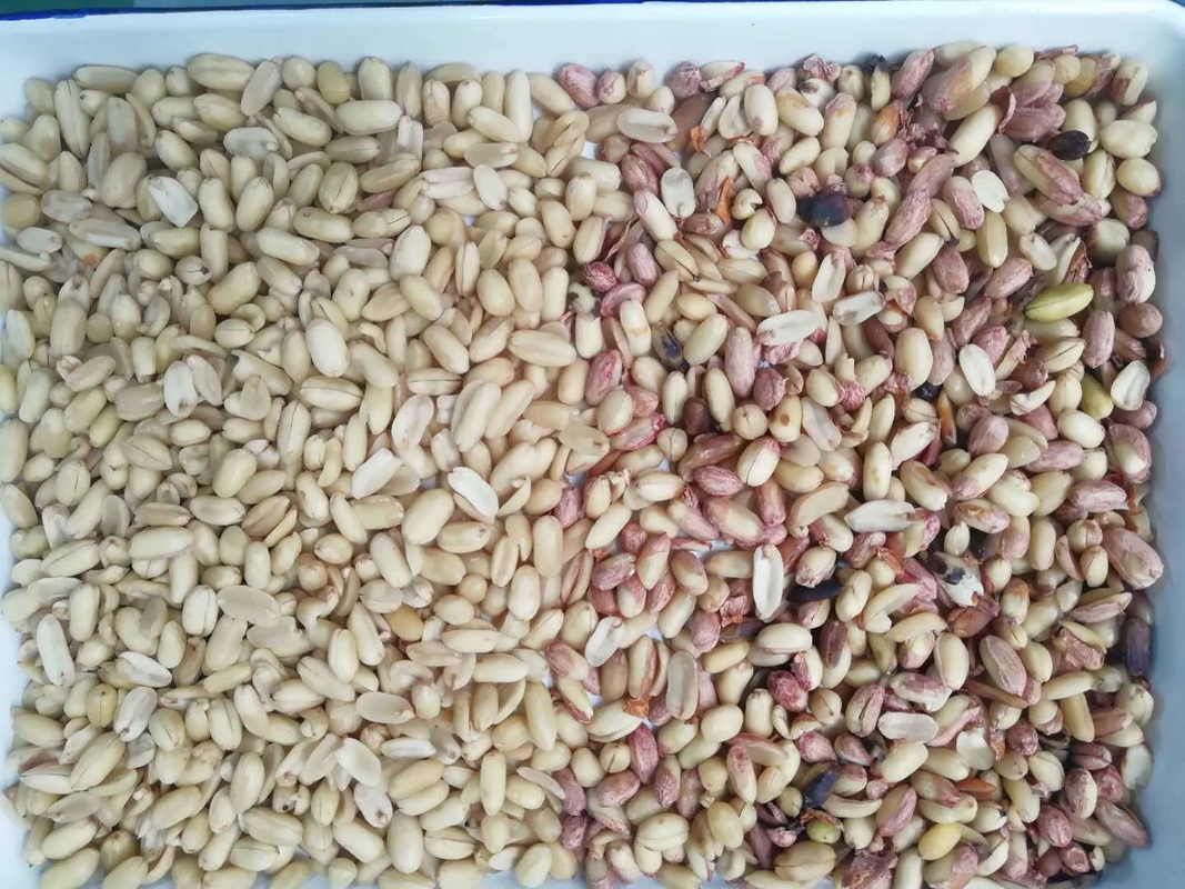 Máquina de clasificación de color de cacahuete profesional para pelar cacahuetes