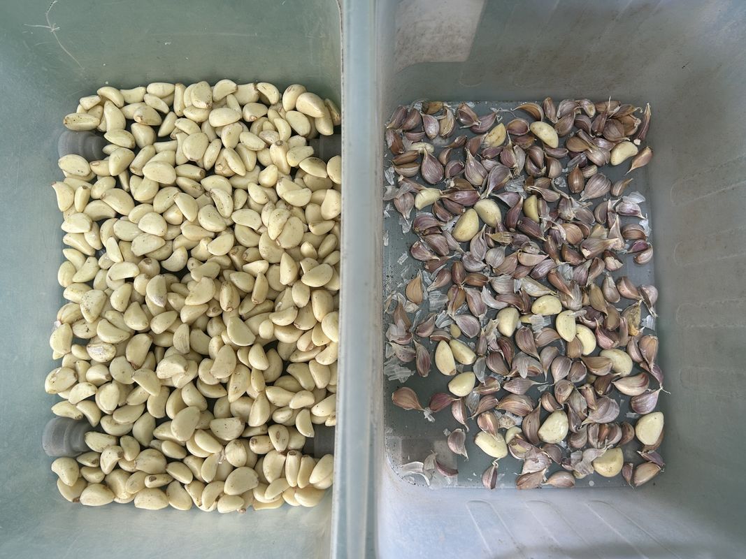 Wenyao Simple Operation Belt Maquinaria para separar el color del mineral