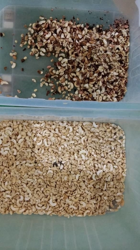Clasificadora óptica de banda para maní, anacardos y nueces, máquina seleccionadora de color para procesamiento agrícola con cámara CCD