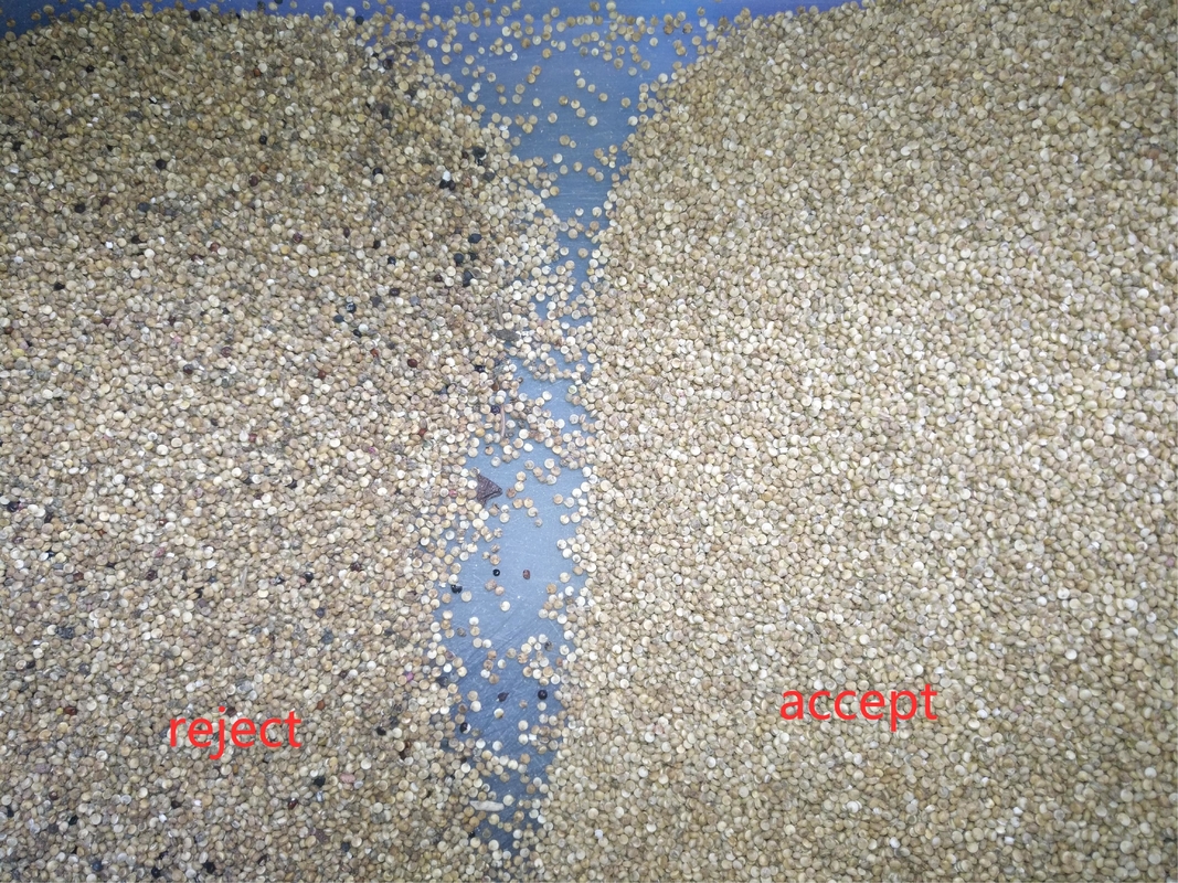 2000Kg/h Perú Quinoa clasificador óptico máquina clasificadora CCD a todo color máquina de clasificación para granos andinos