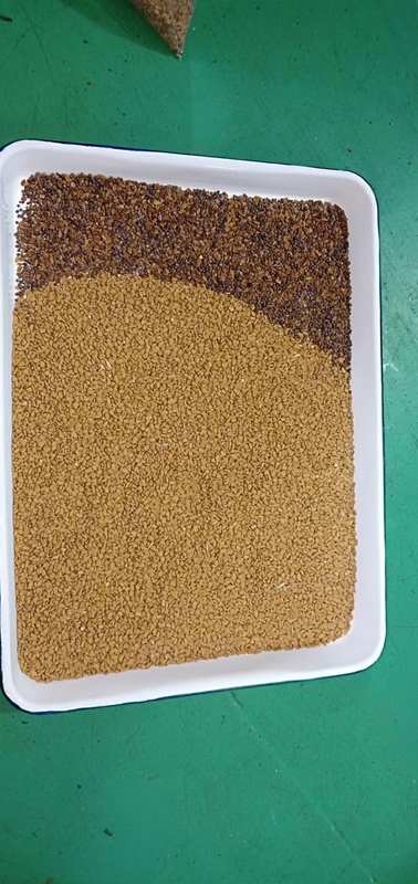 2000Kg/h Perú Quinoa clasificador óptico máquina clasificadora CCD a todo color máquina de clasificación para granos andinos