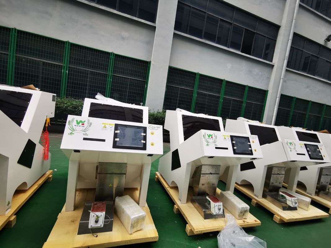 Máquina clasificadora de color CCD óptica de fábrica china más nueva Wenyao 2025 para almendras, pistachos y nueces de cacao