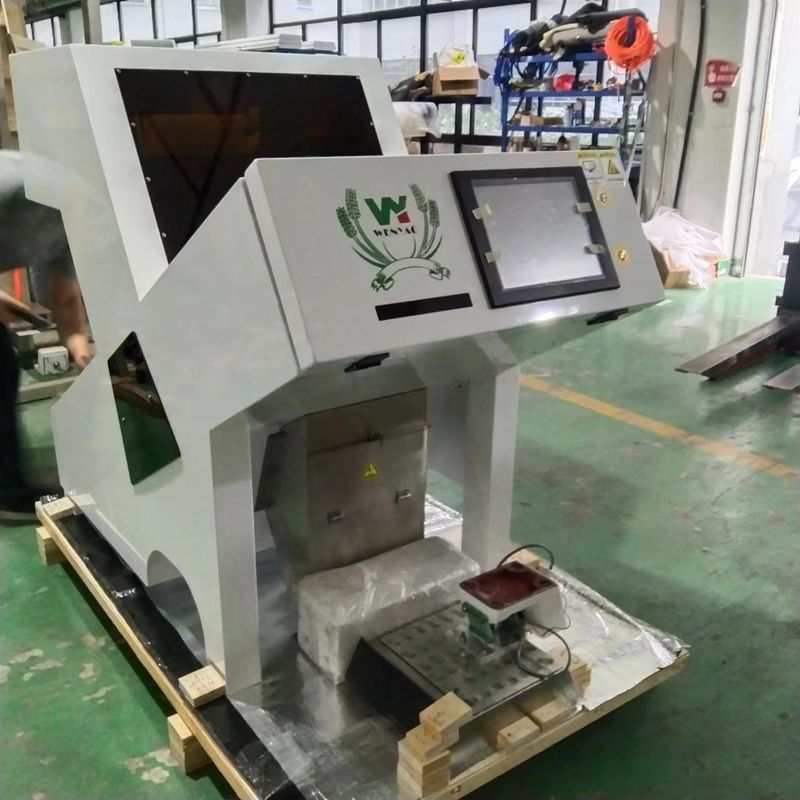WENYAO 1 Máquina Clasificadora Óptica de Color para Castañas Deshidratadas y Secas