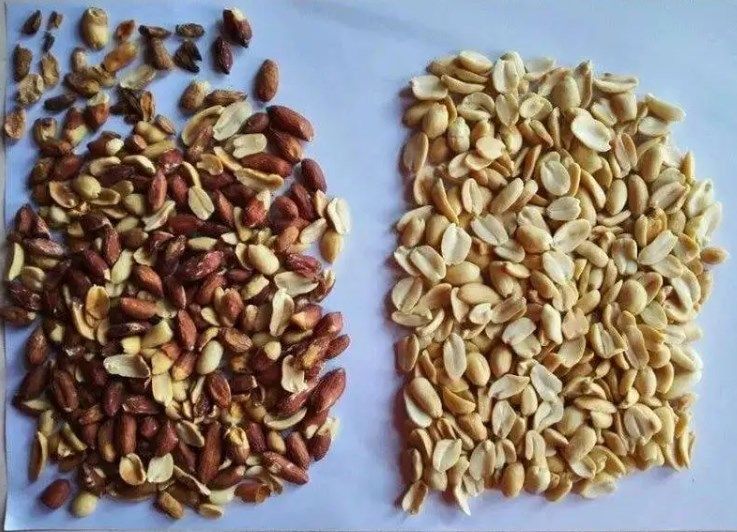 Máquina clasificadora de color CCD óptica de fábrica china más nueva Wenyao 2025 para almendras, pistachos y nueces de cacao