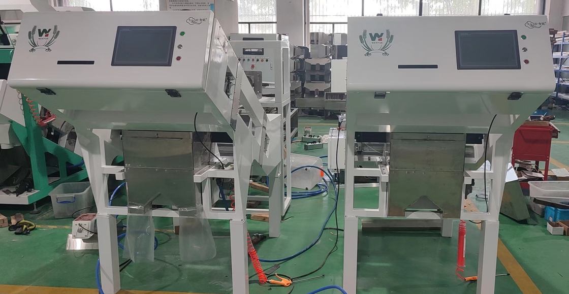 Máquina clasificadora de color óptica CCD Wenyao para granos de café, cereales y arroz
