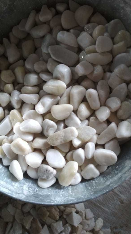 Clasificadora de color de banda de 1200MM para mineral, grano y arroz con una precisión del 99.99%