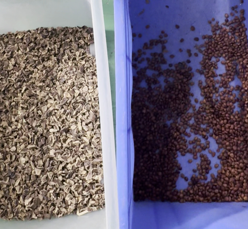 Wenyao Doble Cinturón Alta Tecnología Inteligente CCD cámara máquina de clasificación de color de jabón