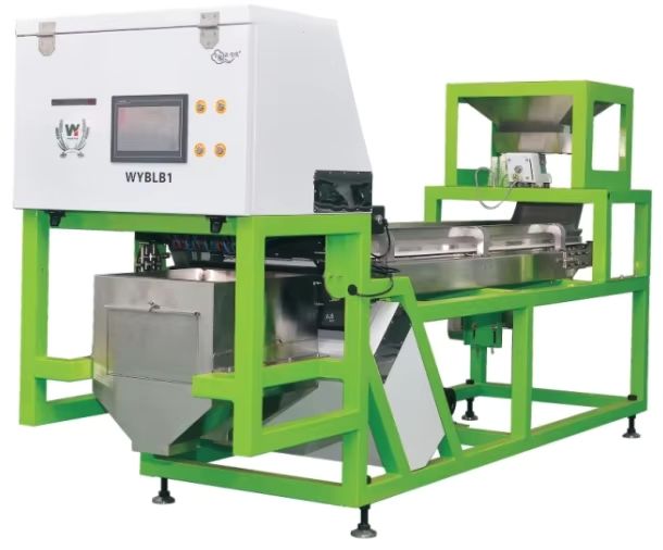 Máquina clasificadora de color automática Wenyao para separación de color de arándanos frescos y bayas de enebro