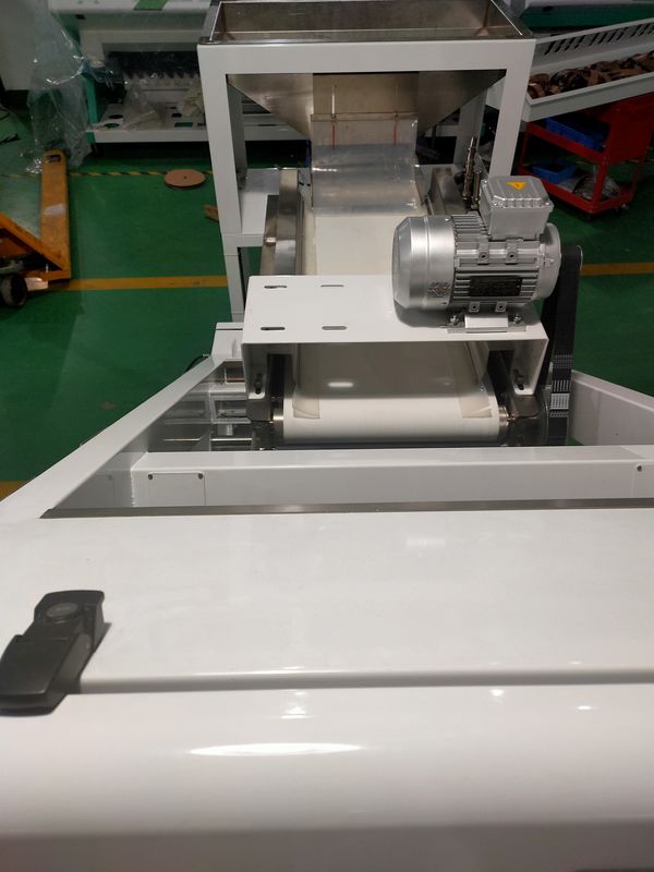 Máquina clasificadora de color automática Wenyao para separación de color de arándanos frescos y bayas de enebro