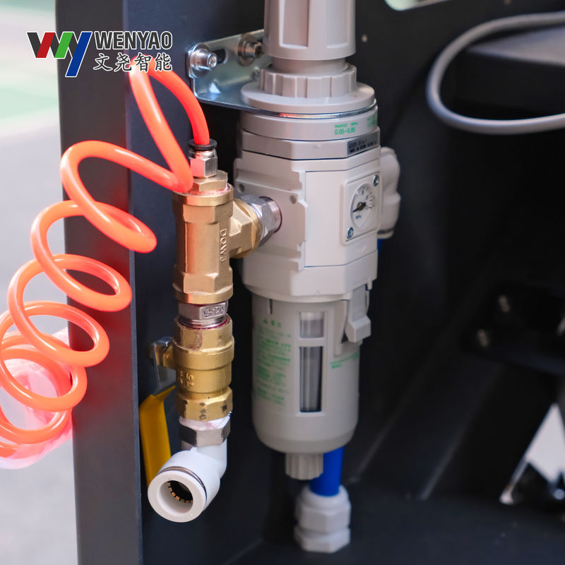 Wenyao Mini WYB2 Color Sorter for Coffee Cherry Blueberry Strawberry