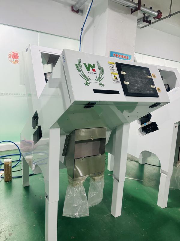 Máquina clasificadora automática de color de pimienta negra Wenyao para clasificación de semillas y frijoles de alta precisión
