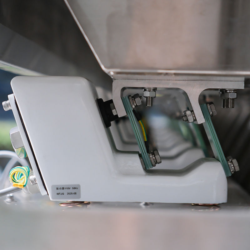 Máquina clasificadora óptica CCD de acero inoxidable 316L de suministro de fábrica, industria, clasificador de color, separador de limpieza de sal, alta precisión