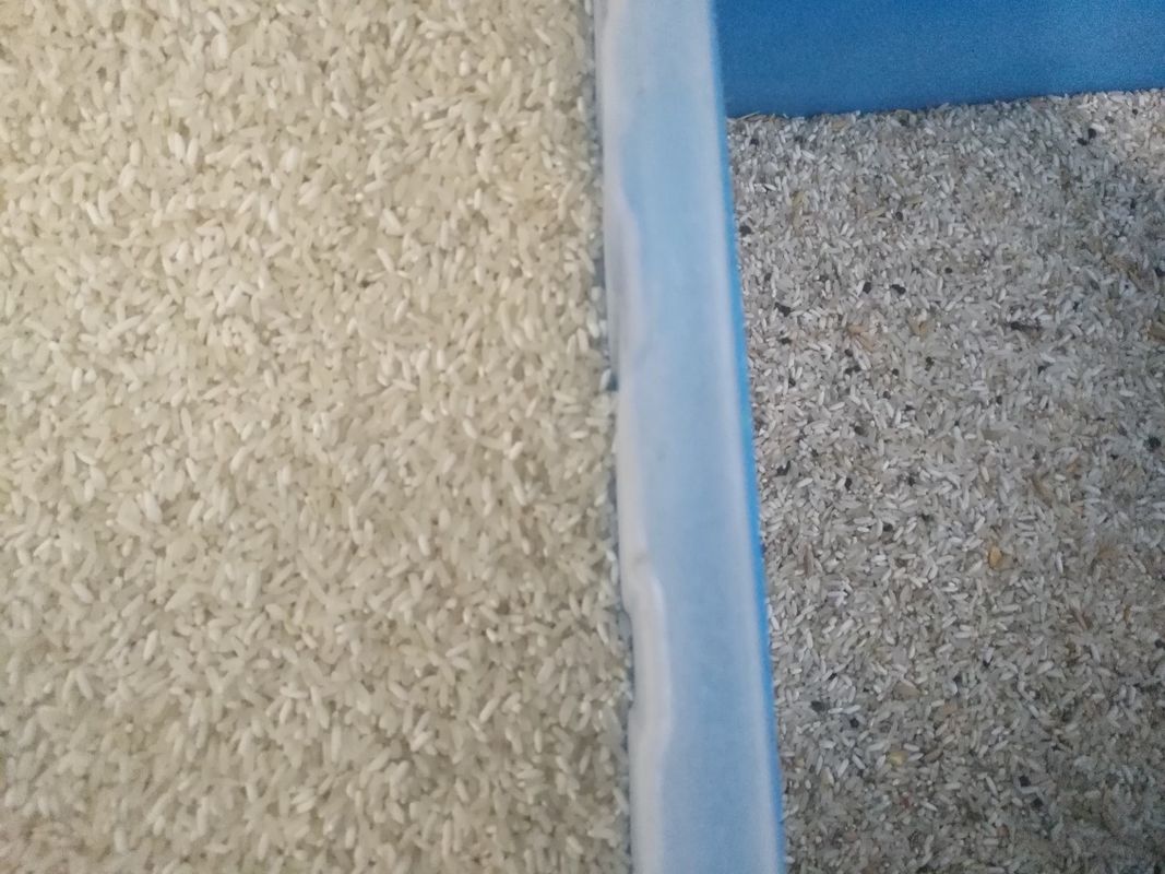 Clasificadora del AI del propósito del CCD del arroz del color de los granos automáticos multi del clasificador