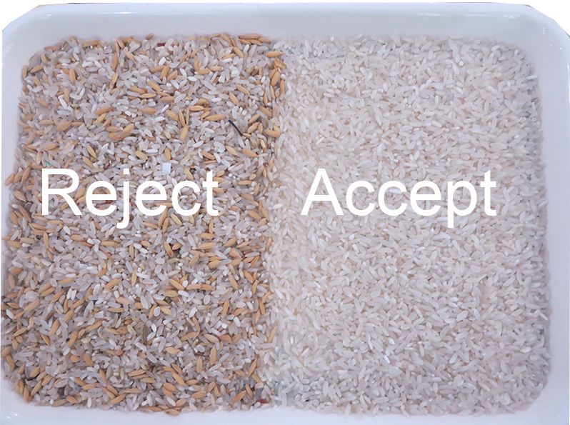 Clasificadora del AI del propósito del CCD del arroz del color de los granos automáticos multi del clasificador