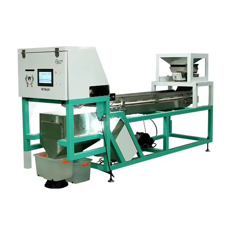 Semilla de WENYAO Walnut Shell Removal Machine que defiende la máquina del clasificador del color de la nuez del AI
