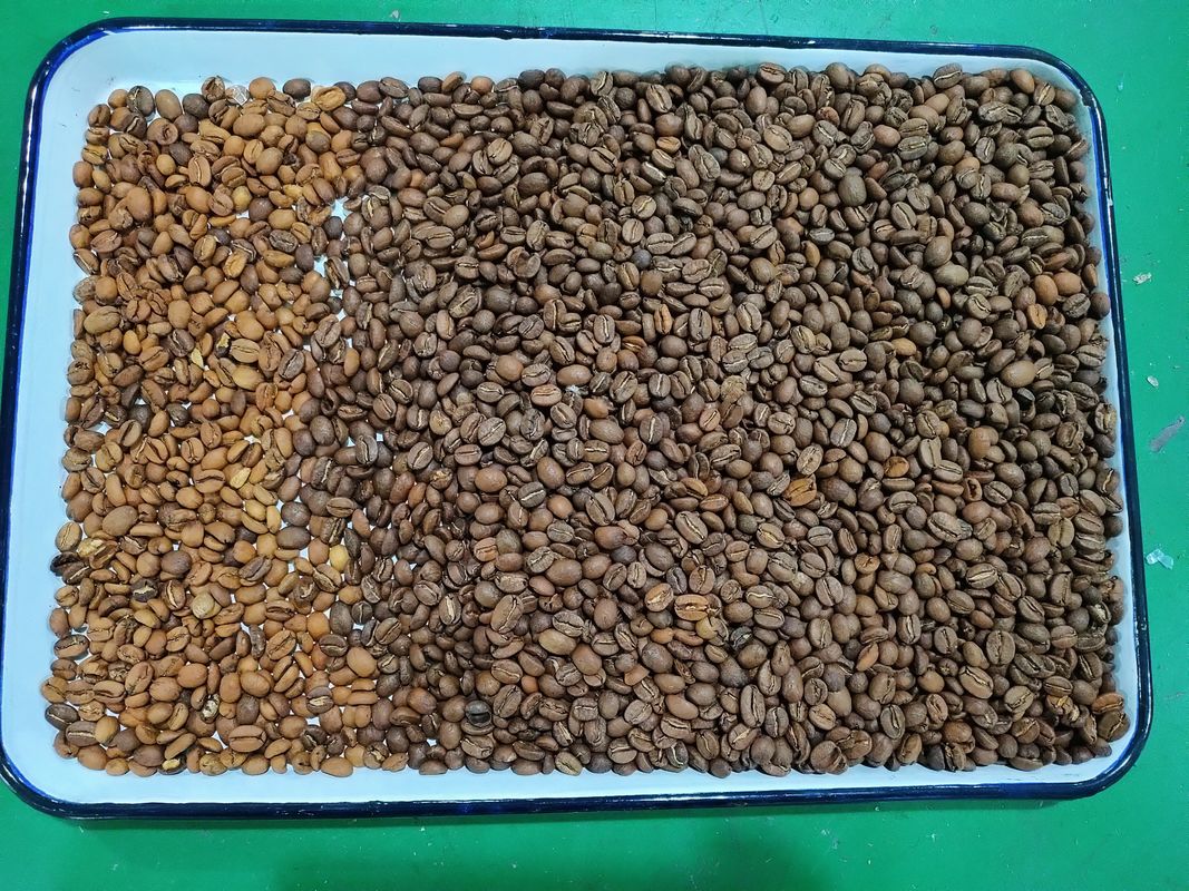 Wenyao Latest Technology High Sorting Accuracy Coffee Color Sorter Machine for Roasted and Green Coffee Bean