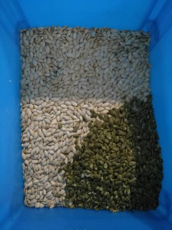 Wenyao Wifi control remoto semilla de girasol semilla de calabaza clasificador de color con 2 años de garantía y válvula de solenoide para el procesamiento industrial