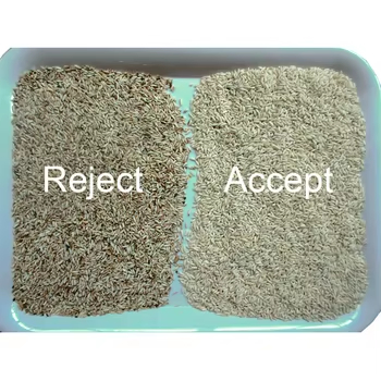 Color Sorting Machine Rice  Intelligent Parboiled Rice Color Sorter