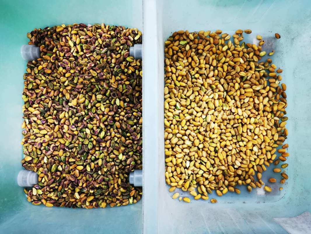 WENYAO Optical Sorter Machine Industrial Small Professional Color Sorter for Chestnut Pistachio Nut Selection