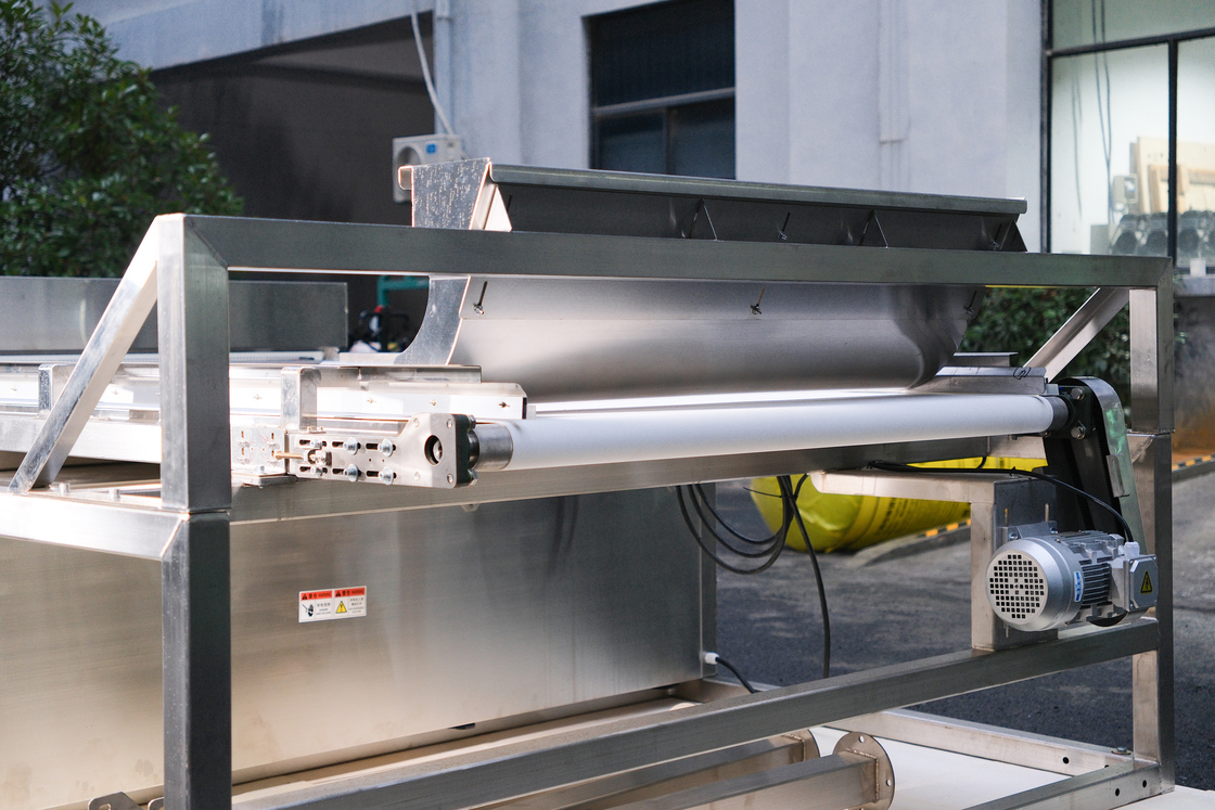 Optical Waterproof Belt Colour Sorter For Coffee Cherries Silkworm Chrysalis Frozen Vegetables