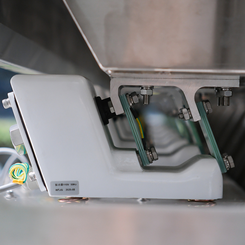 Multi-functional Plastic Flakes Color Sorter Intelligent Color Separating Machine 