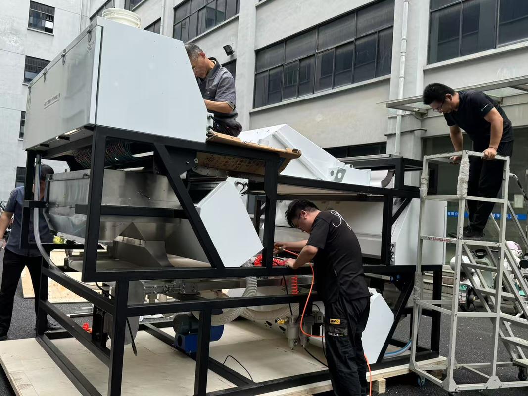 Optical WYDB4 Soapberry Color Sorting Machine for Soup Pods Color Separator Machine With High Sorting Capacity