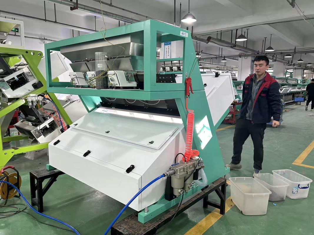 Máquina clasificadora de color para maíz, trigo, caballo, frijol, haba ancha, Wenyao de alta capacidad
