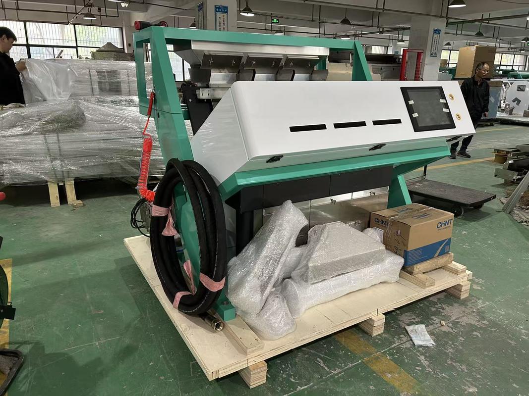 Máquina clasificadora de color para maíz, trigo, caballo, frijol, haba ancha, Wenyao de alta capacidad