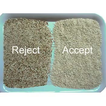 Sortadora de color de arroz inteligente Maquina de clasificación de color de maíz de millo amarillo para trigo frijoles con alta precisión 4 canales