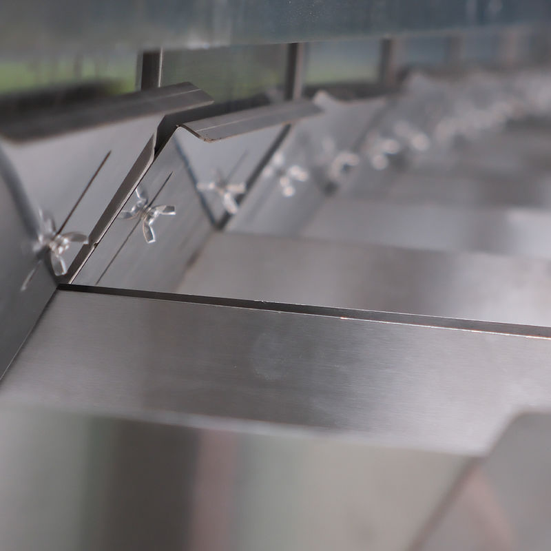 Máquina clasificadora de color de nueces, frijoles, almendras, cacahuetes. Máquina separadora. Elimina los malos y mohosos.