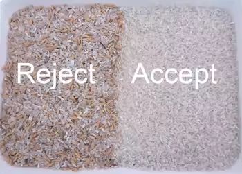 Máquina clasificadora de color de nueces, frijoles, almendras, cacahuetes. Máquina separadora. Elimina los malos y mohosos.