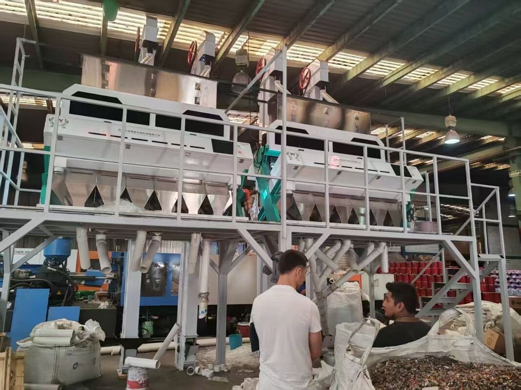 Wenyao alta tecnología multifunción trigo trigo sarraceno cebada clasificador de colores máquina de clasificación de colores