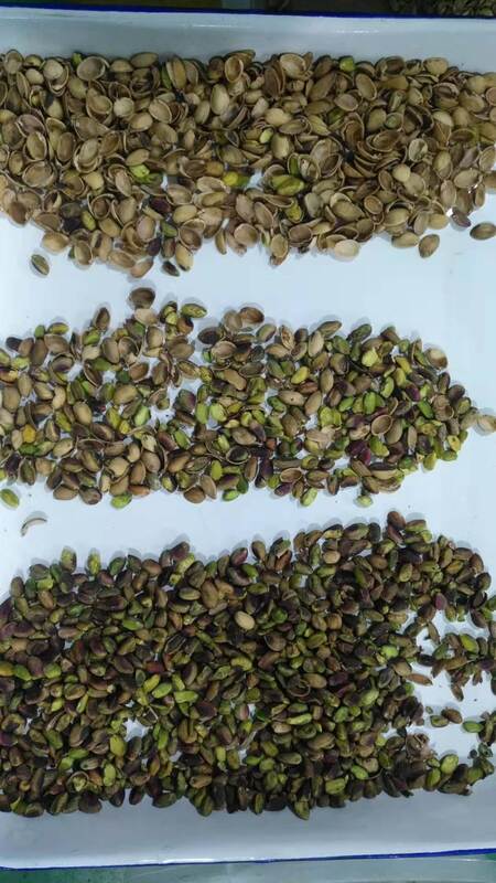 Clasificadora Automática de Nueces Wenyao con Sensor CCD TOSHIBA, Tolva de Acero Inoxidable 304 de Grado Alimenticio y Control Remoto Wifi para Clasificación de Nueces de Alta Eficiencia