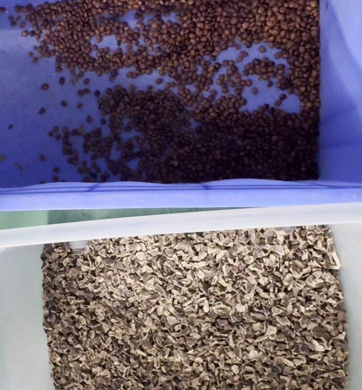 Máquina clasificadora de color de jabón en cápsulas de doble cinta inteligente más reciente de alta precisión Wenyao 2025 con control remoto WIFI